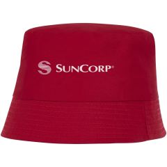 Sonnenhut