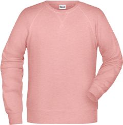 Herren Sweatshirt mit Raglanärmeln